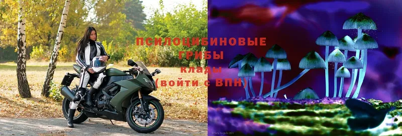 сайты даркнета клад  Нерехта  Галлюциногенные грибы Magic Shrooms 